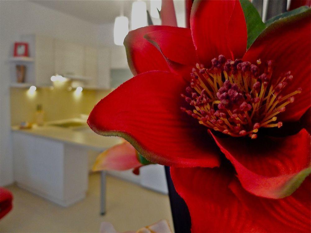 Apartamenty Aparts Lodž Exteriér fotografie
